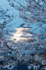 365即时比分足球比分-探秘365即时比分，足球迷的实时数据宝藏库