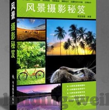 乐鱼体育app官网入口-提升运动体验，链接乐鱼体育APP——官网入口的全面探索