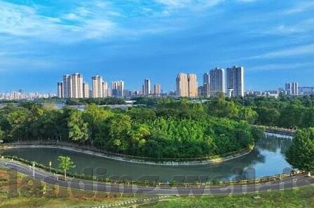 星空综合体育APP-星空综合体育APP，重塑体育娱乐新生态